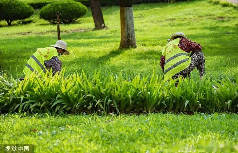 风景园林管理者面临的热点问题：未来如何应对游客量剧增带来的社会与环境压力？