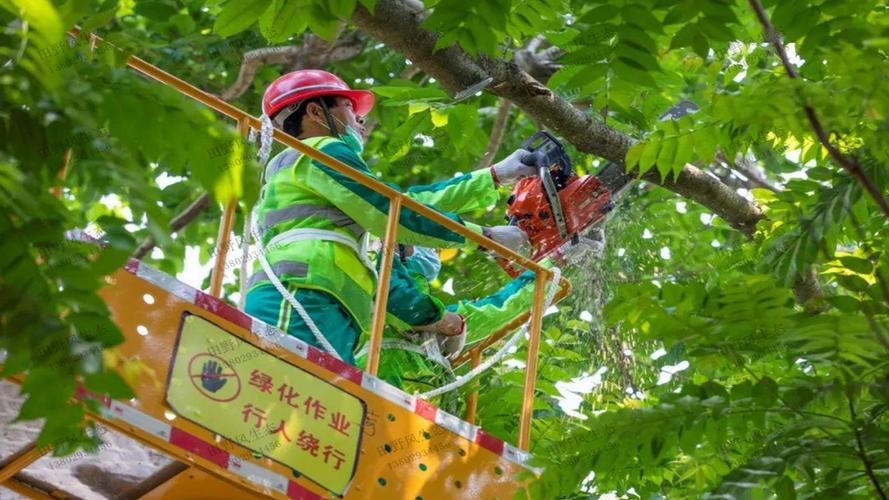 辽宁沉水植物绿化工程