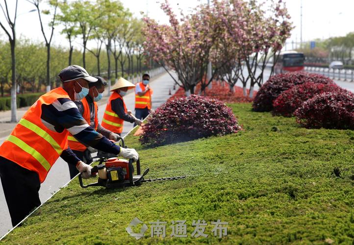 马鞍山道路立体绿化工程